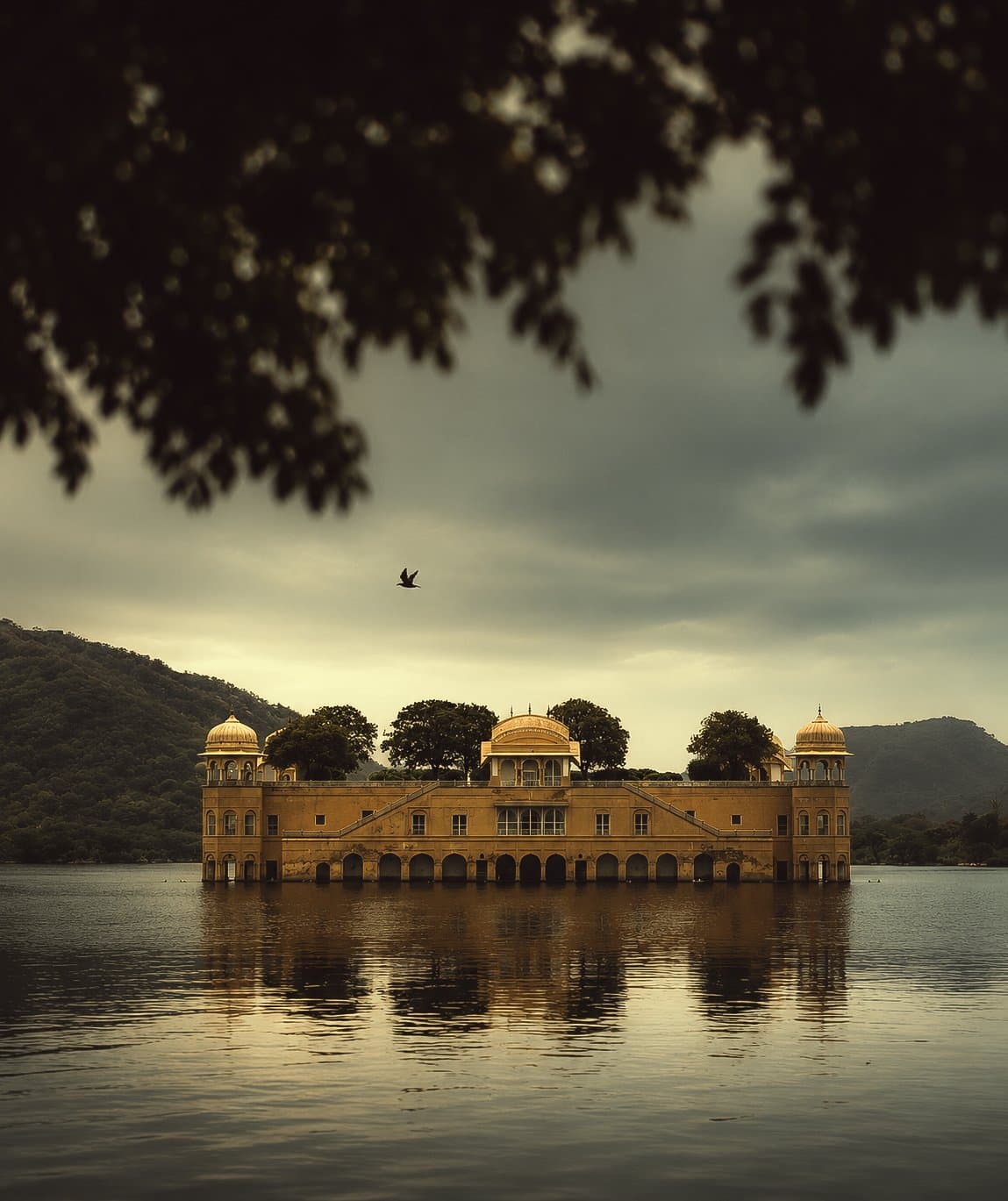 Jal Mahal · Jaipur